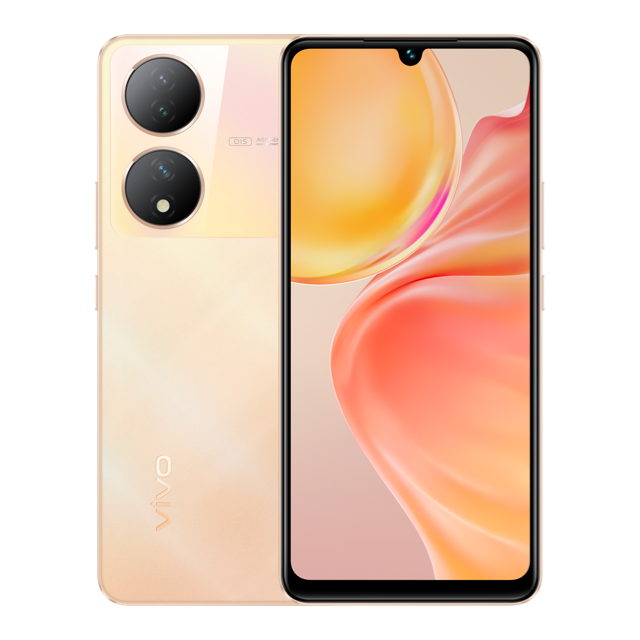 Vivo Y100 Repair